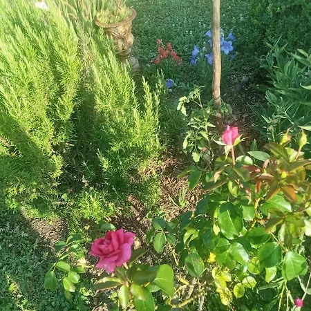 Maison A La Campagne Idealement Situee Dans Le 63 *